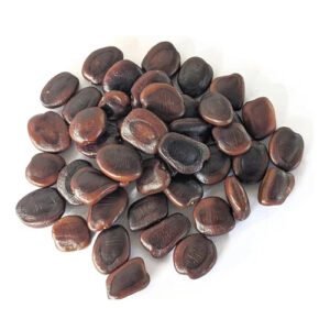 Tamarind Seeds